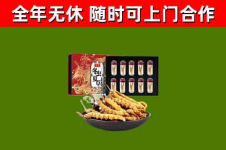 雄县回收冬虫夏草价格