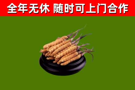 雄县烟酒回收冬虫夏草.jpg